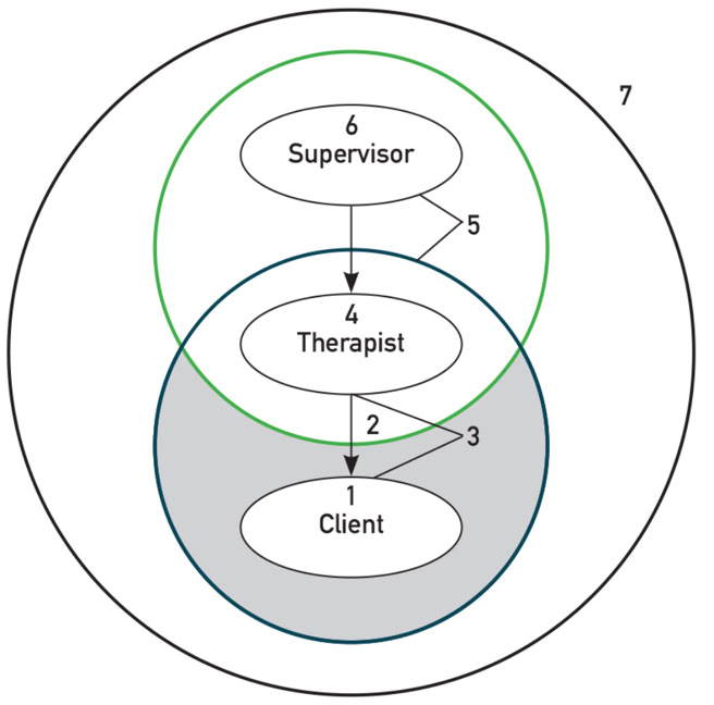 A model of supervision that looks at the client and supervisee relationship through various lenses to depen reflection on practice 